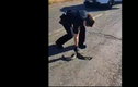 Nữ cảnh sát Mỹ giật đùng đùng khi bắt rắn trên đường