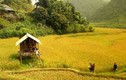 Du khách Việt "sốt xình xịch" với những điểm ngắm mùa thu tuyệt đẹp