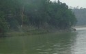 Chuyện chạm mặt rùa "thần" khổng lồ dưới dòng Hương Giang