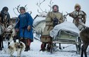 Cuộc sống trong cái lạnh thấu xương của người Nenets ở Siberia