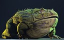 Phát hiện loài ếch cổ đại khổng lồ có thể hạ gục khủng long