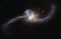 Đài quan sát Hubble chụp được "nòng nọc" vũ trụ