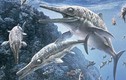 Phát hiện hóa thạch “khủng long biển” khổng lồ ở Ấn Độ