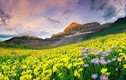 “Đứng hình” trước những thung lũng hoa quyến rũ nhất hành tinh