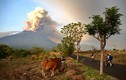 Thiên đường bỗng hóa ác mộng vì núi lửa 'thức giấc' ở Bali