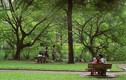 Những bí mật trong lòng công viên đầu tiên của Hà Nội