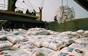Kỷ lục về xuất nhập khẩu hàng hóa Việt Nam trong vòng 48 giờ