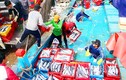 Đầu năm, ngư dân Bình Định trúng đậm cá ngừ thu về tiền tỷ