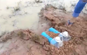 Video: Bắt cả túi ếch đồng “khủng” chỉ bằng 2 can nhựa