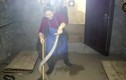“Nữ hoàng rắn hổ mang” ở Trung Quốc