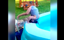 Video: Gặp tai nạn "dở khóc dở cười" nơi bể bơi