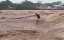 Video: Tròn mắt xem nam thanh niên lướt sóng giữa dòng nước lũ cuồn cuộn