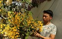9X "già" kinh nghiệm trồng lan thủy tiên, kim điệp ra hoa cực đỉnh