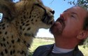 Nụ hôn xúc động của chú báo Cheetah dành cho con người