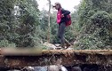 Video: Cô giáo 9x xuyên rừng Tà Xùa “cõng chữ” lên Làng Sáng