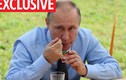 Tổng thống Putin thuê đội quân nếm thức ăn vì sợ đầu độc?