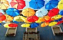 Khám phá những chiếc ô rực rỡ lạ kỳ ở Bồ Đào Nha