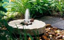 Ý tưởng thiết kế thác nước đẹp mê hoặc cho sân vườn mát mẻ