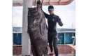 Video: Kịch tính cảnh ngư dân Trung Quốc câu cá mú khổng lồ