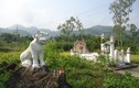 Chuyện ly kỳ về tục thờ thần Bạch Hổ độc đáo ở Trà Bồng 