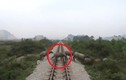 Video: Khoảnh khắc tàu hỏa tông chết đàn trâu thả rông đi qua đường ray