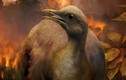 Lý do giúp tổ tiên loài chim sống sót sau "Đại tuyệt chủng"