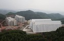 “Khách sạn” 7 tầng chỉ để nuôi heo ở Trung Quốc