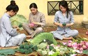 Chị gái Hà Thành hái 5.000 bông sen 100 cánh ướp trà chiều khách