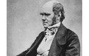 Hôn nhân bí ẩn của nhà tự nhiên học Charles Darwin