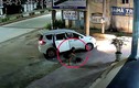Video: "Cẩu tặc" đi ô tô, bắn súng điện trộm chó nhanh như chớp