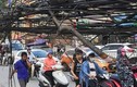 Video: "Động bàn tơ" bủa vây người dân ở Hà Nội