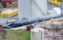 Xẻ thịt cá voi to như tàu ngầm ở Iceland: "Thủ phạm" nói gì?