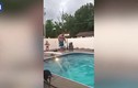 Video: Người đàn ông nặng cân nhảy cầu trên bể bơi và cái kết hài hước