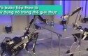 Video: Không phải viễn tưởng, robot này có thể làm nhiều việc đáng kinh ngạc