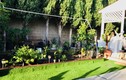 Không gian nhà vườn giản dị của ca sĩ Hương Lan ở Mỹ