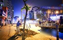 Video: Di dời hàng loạt cây xanh để mở rộng đường Phạm Ngọc Thạch