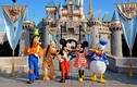 Video: Vì sao mớ rác gom về từ Disneyland bán được với giá hàng triệu USD?