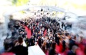 Gái bán dâm 40000 USD mỗi đêm ở Cannes, Hollywood hoạt động ra sao?