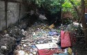 Video: Kinh hoàng kênh rác bủa vây, người dân Sài Gòn mắc màn ăn cơm