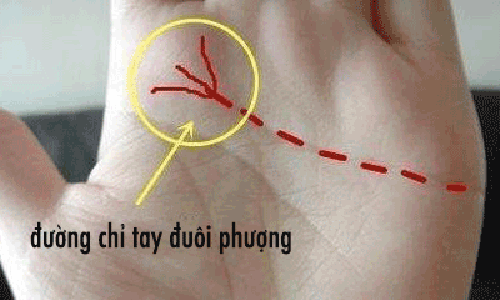 3 đường chỉ tay may mắn đem lại phú quý giàu sang khi về già