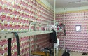 Phòng KTX nam biến thành bộ sưu tập Hello Kitty khiến dân mạng hết hồn