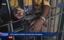 Video: Kỳ lạ nhà tù Brazil không cần lính gác, tù nhân giữ chìa khóa