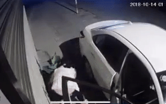 Nữ tài xế lái xe tiền tỷ ăn cắp vặt chậu cây cảnh trước nhà dân