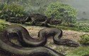 Mãng xà cổ đại khổng lồ nặng 1,5 tấn đang sống ở rừng Amazon?