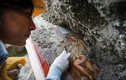 Tìm thấy bích họa nổi tiếng nữ hoàng khỏa thân 2000 năm tuổi
