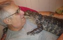 Bí kíp biến cá sấu thành bạn của người đàn ông 65 tuổi