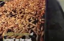 Video: Hàng nghìn cá chép Koi giãy giụa trên… đường cao tốc