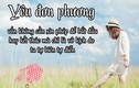 Những câu nói hay về tình yêu đơn phương