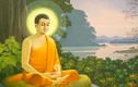 Phật chỉ dạy 4 người bạn đời ai cũng có