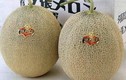 Trái cây Nhật Bản giá "chát" vẫn được nhà giàu Việt ưa chuộng